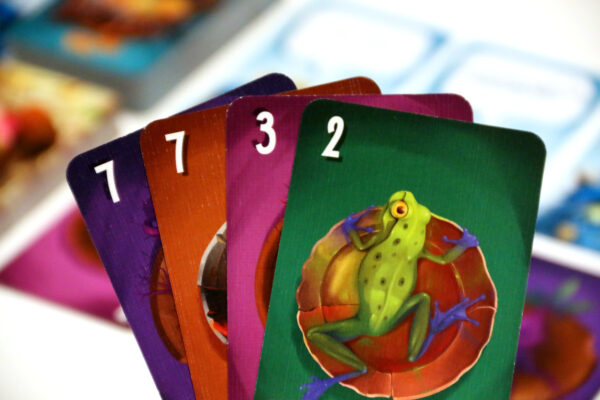 Cahoots_Kaartspel_Voorbeeld_Spelcompilatie_White Goblin Games