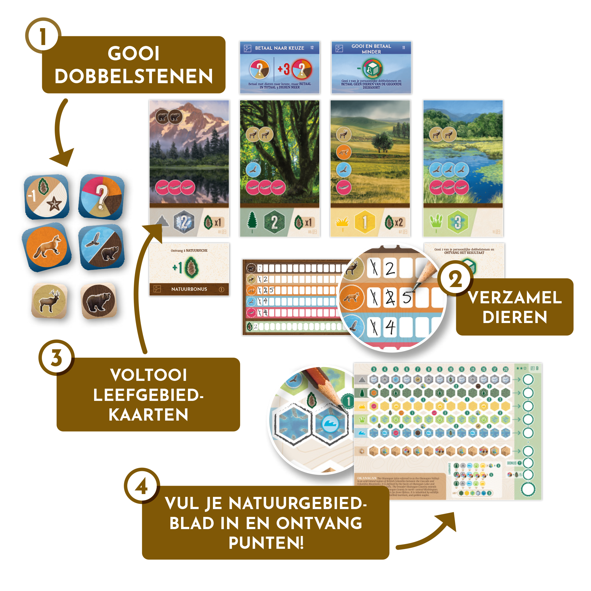 Cascadia_Rolling_Hills_Dobbelspel_Voorbeeld_Spelcompilatie_White Goblin Games