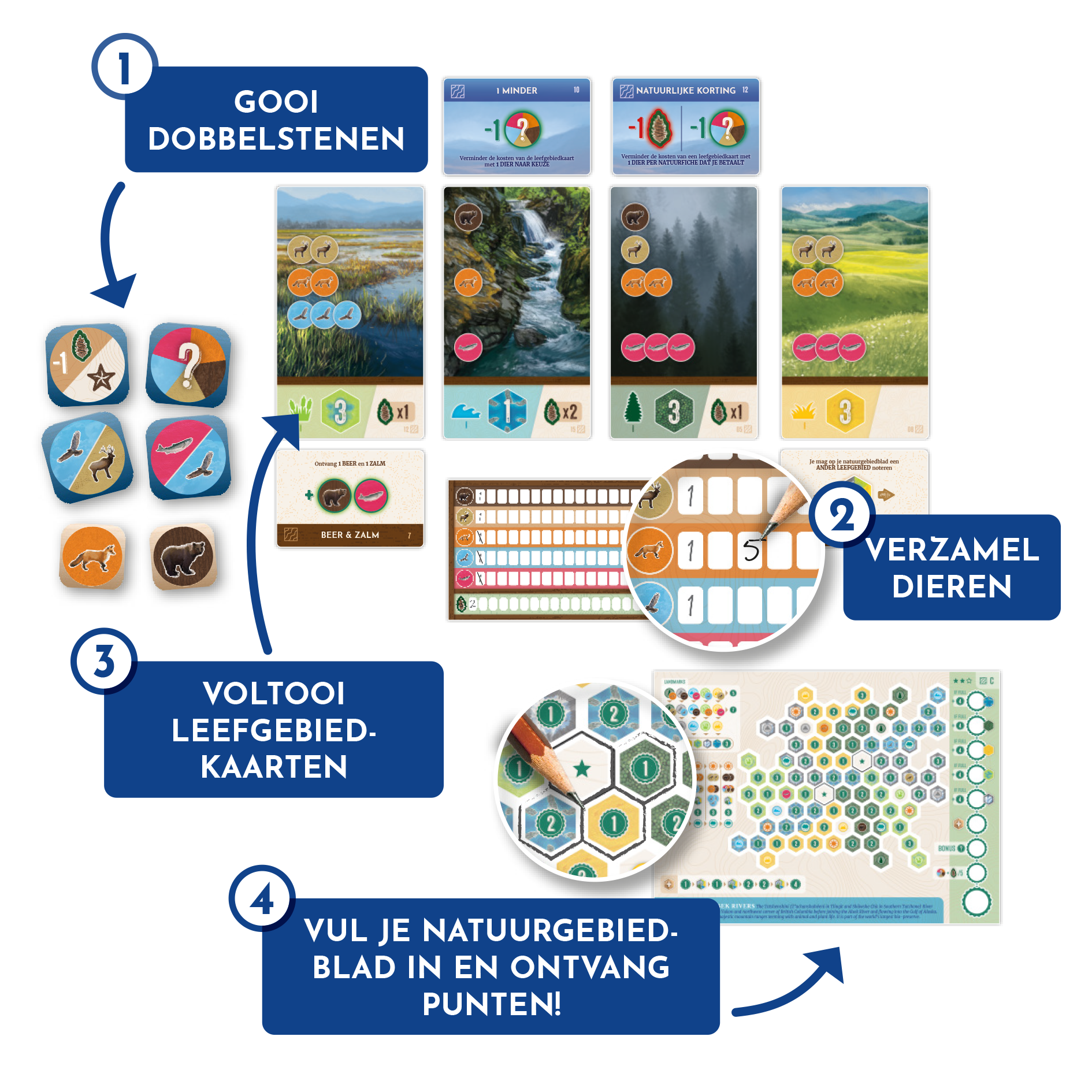 Cascadia_Rolling_Rivers_Dobbelspel_Voorbeeld_Spelcompilatie_White Goblin Games